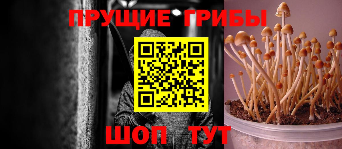 Галлюциногенные грибы ЛСД  Вход с VPN  Волхов  Псилоцибиновые грибы MAGIC MUSHROOMS 